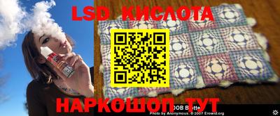 прущие крисы Новодвинск