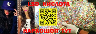 прущие крисы Новодвинск