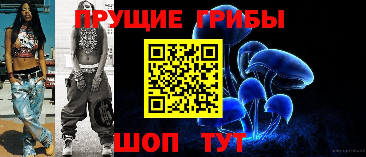 Тихорецк  Галлюциногенные грибы Psilocybine cubensis  Псилоцибиновые грибы мицелий  Вход с VPN 