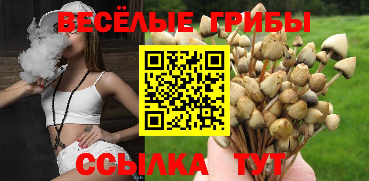 Галлюциногенные грибы ЛСД Тихорецк